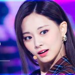 아니 <b>쯔위</b>