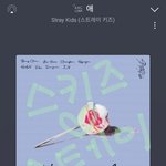 [스키즈] <b>옆집</b>에서 왔습니당