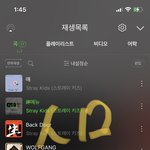 [스키즈] 어떡해 얘들아 나 진짜 신나는가봐 ;;