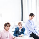 이게 무슨 조합이야