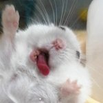 스키즈 <b>황현진</b>이랑 엔시티 이태용이랑 다를게 없는데??