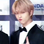 [NCT즌] <b>레드카</b>펫에서도 귀엽자나