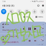 [스키즈] 스밍스밍!!!