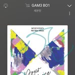 [세븐틴] 난 진짜 ...