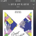 [세븐틴] 자자 얘들아 <b>진정</b>해