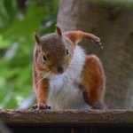 [BTOB] 저기 <b>전역글</b> 보니까 기분 좋아지는게