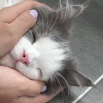 나만 짝사랑 해본 적 없냐ㅠㅠ