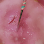 [NCT즌] 이거 약간 sc <b>ko</b>코밥같음