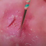 [NCT즌] 회전목마 자꾸 나오네