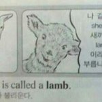 [19] 짝남이 막 헤으ㅡ응거리는데