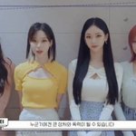 나만 얼굴형은 지젤이라고 생각함?