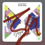 [세븐틴] 나 꿈에서 승관이 나옴