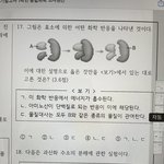 똑똑한 판녀들아 ㅠㅠ쉬운 생명 문제 알려주라