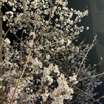 나만.이런 <b>끔찍</b>한.꿈만 꾸냐.