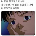 갈아탈만한 커뮤없나