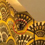 [여행] 브라운도트호텔 포항 <b>죽도</b>점 직원 불친절 바퀴벌레나옴 혐오주의...