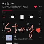 [스키즈] 스밍스밍❤️