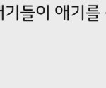 이런 댓글보면 왤케 때리고 싶지