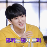 [스키즈] <b>돼지토끼</b>❤️