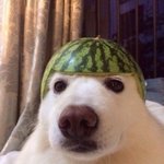 현직 남간이 인생썰이랑 느낀점 말해봄...