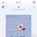 [스키즈] 케이콘 못봐 나는...우울해