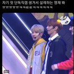 이게 아기가 아닐리 없음ㅆㅂ