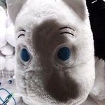 [에이티즈] 왜 아무도 정답 안맞춰주냐ㅋㅋ
