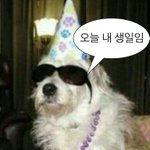 얘드라 나 오늘 생일임~~~
