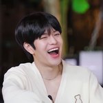 [스키즈] 승<b>민이</b>가 보고 엄청 웃었다 했으니까 재밌을듯