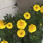 [댓글부탁해] <b>결석</b>할까말까