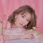 사쿠라로 본 확연히 다른 한-중-일 스타일