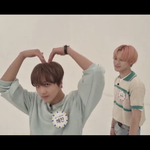 [NCT즌] 푸두와 <b>핑크</b>돌고래