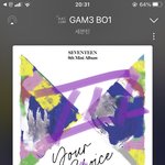 [세븐틴] 근데 저 투표 어따 써먹으려나