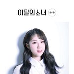 그룹내 닮은 꼴