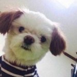 18살 먹고 <b>파스</b>나 달고 사는 여자라니