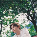 [더보이즈] 이제는 사진 속에만 <b>남아</b>있는..