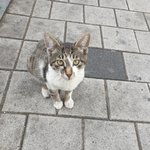 요즘 아이돌 그룹명 비슷한듯