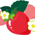 [드루와] 얘들아 이거 한번 해봐 미쳤어,..