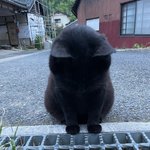 [댓글부탁해] 근데 <b>돈이</b> 최고라는 말