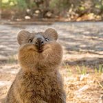 김석진 너 말이야