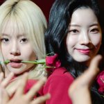 [모두드루와] 트와이스 일본 신곡 어떰?