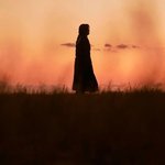 킹덤 아신전 스틸컷 떴다!!!