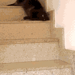 물리<b>엔진</b> 오류랑 버그난 <b>친구</b>들