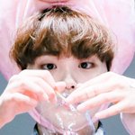 '폭신폭신' <b>덕후</b> 녹이는 아이돌