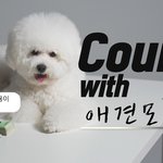 실제 강아지 모델이 받는 월급 ㄷㄷ