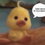 판녀들아 너네 밥 짓는법<b>모름</b>...?