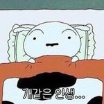 [댓글부탁해] 아니 ㅆㅂ 니네 허벅지 둘레 <b>몇임</b>?