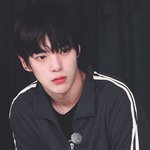 와 <b>시</b> 바 <b>이</b> 사진 개미쳤네