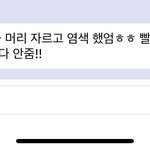 [NCT즌] 드프들아 축제다