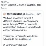 [NCT즌] 태용이 이름으로 고래 7마리 <b>입양</b>했대